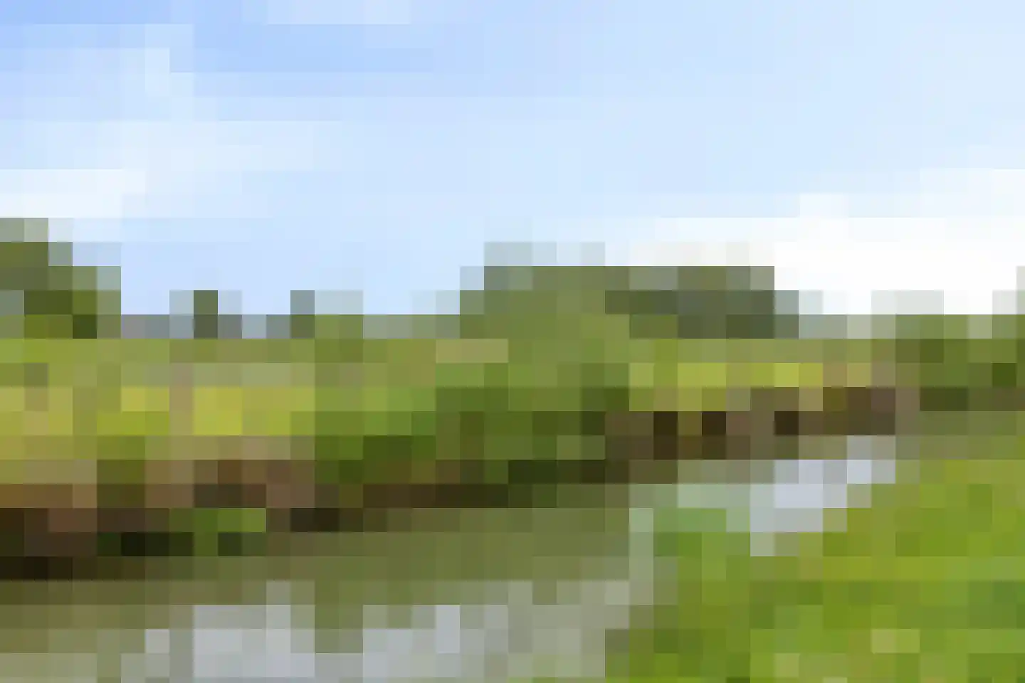 Kievit 80 Maurik thumbnail 51