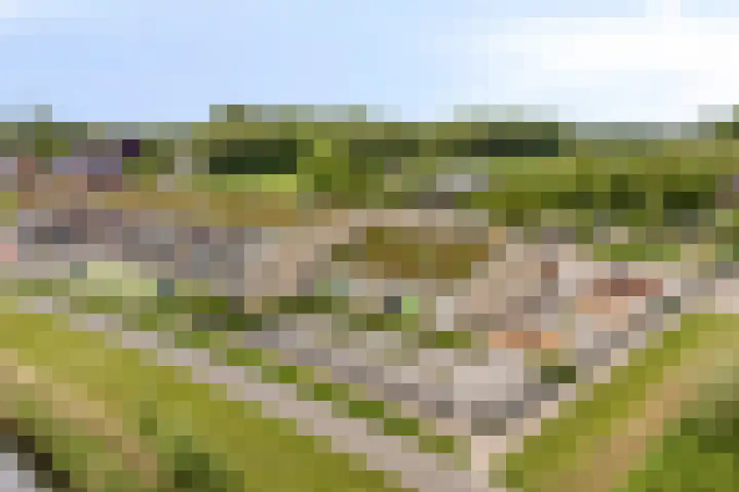 Kievit 80 Maurik thumbnail 52
