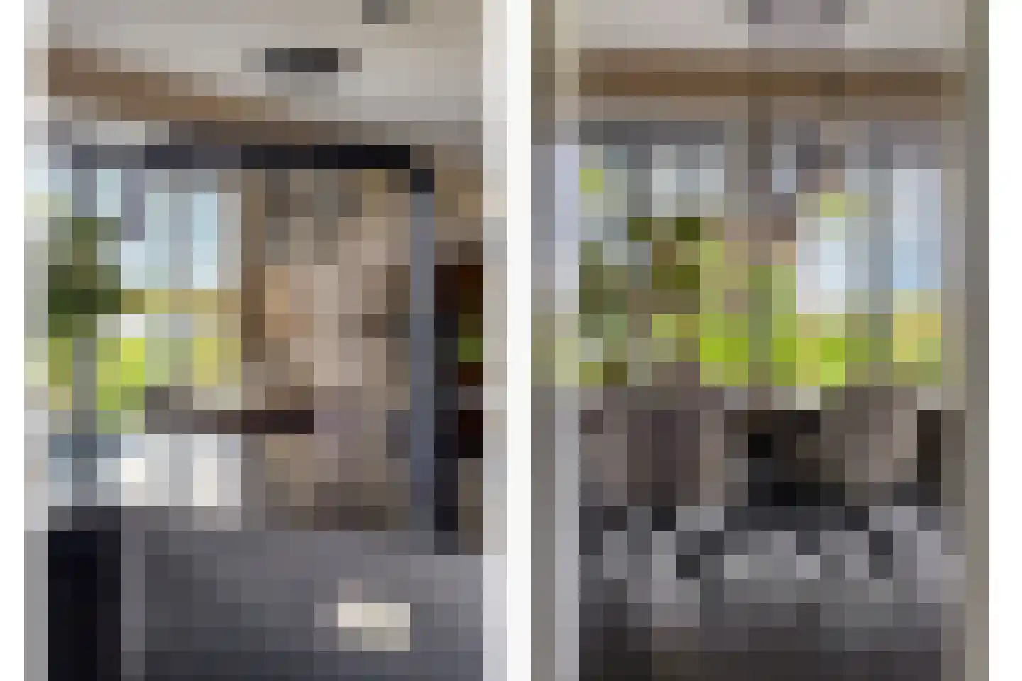 Kievit 80 Maurik thumbnail 8