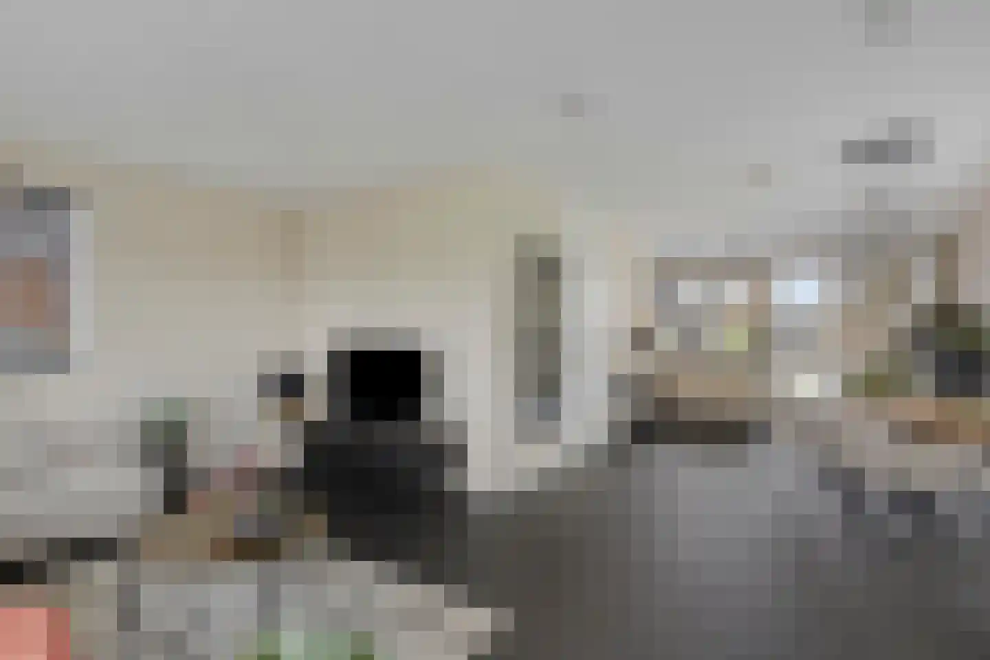 Kievit 80 Maurik thumbnail 9