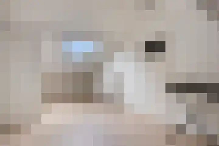 Kievit 90 Oss thumbnail 15