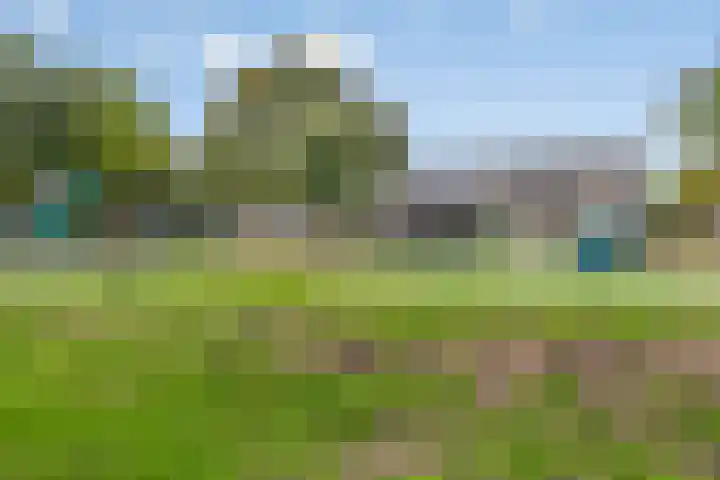 Kievit 90 Oss thumbnail 21