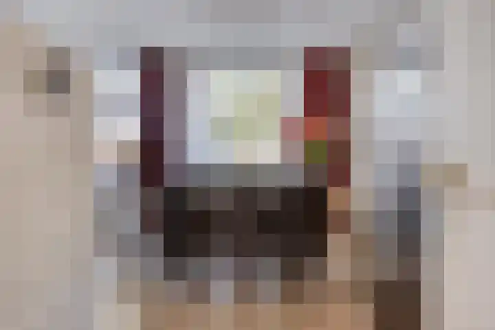 Kievit 90 Oss thumbnail 5