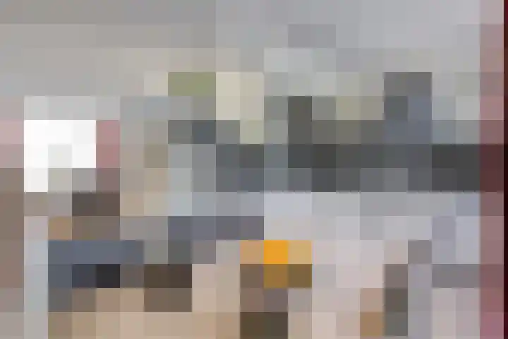 Kievit 90 Oss thumbnail 6