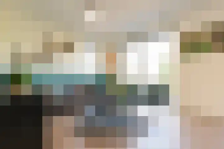 Kievit 94 Maurik thumbnail 15