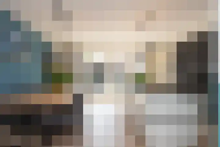 Kievit 94 Maurik thumbnail 21