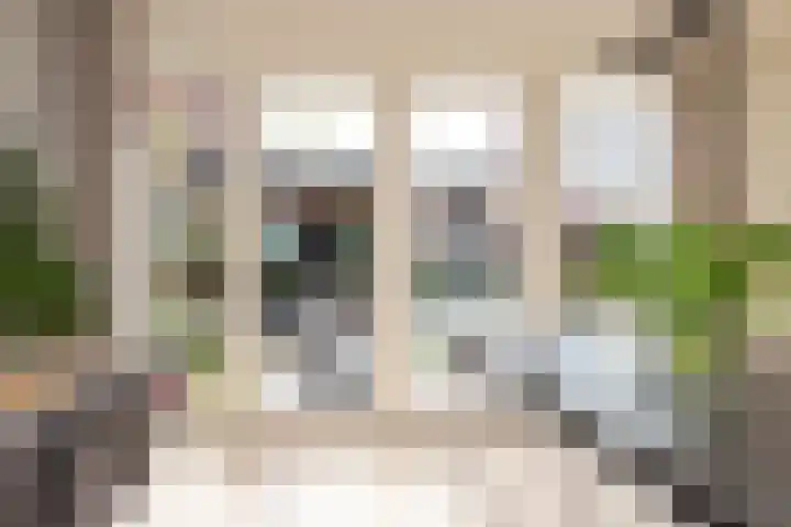 Kievit 94 Maurik thumbnail 22