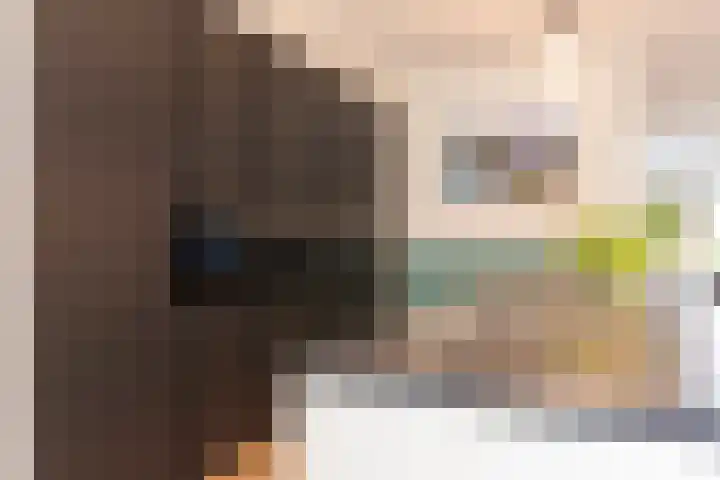 Kievit 94 Maurik thumbnail 24