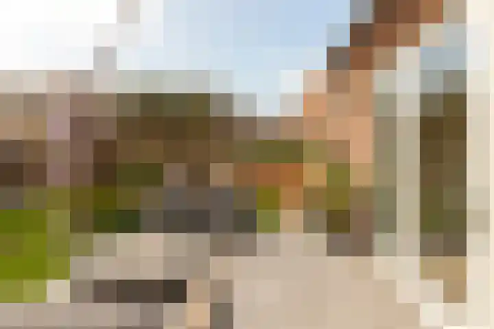 Kievit 94 Maurik thumbnail 29