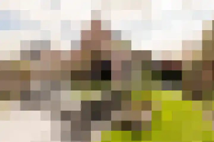 Kievit 94 Maurik thumbnail 31