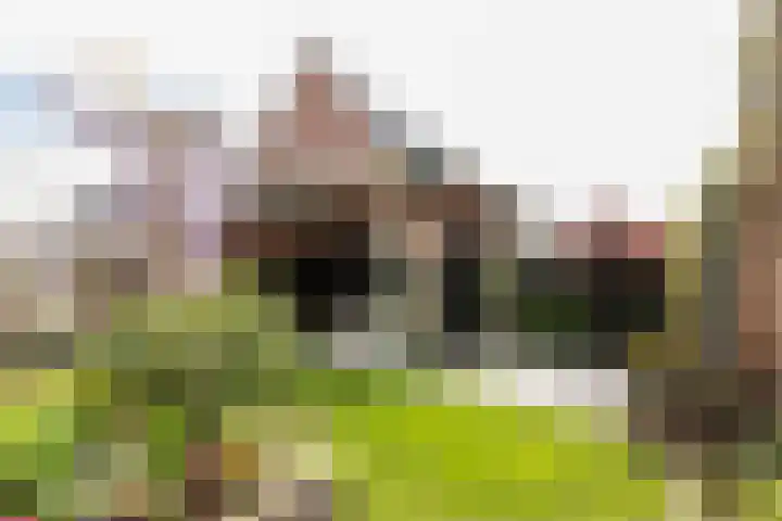 Kievit 94 Maurik thumbnail 33