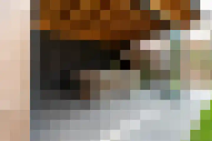 Kievit 94 Maurik thumbnail 35