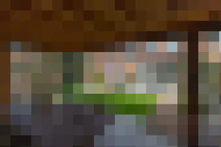 Kievit 94 Maurik thumbnail 36