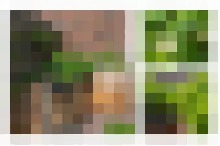 Kievit 94 Maurik thumbnail 40