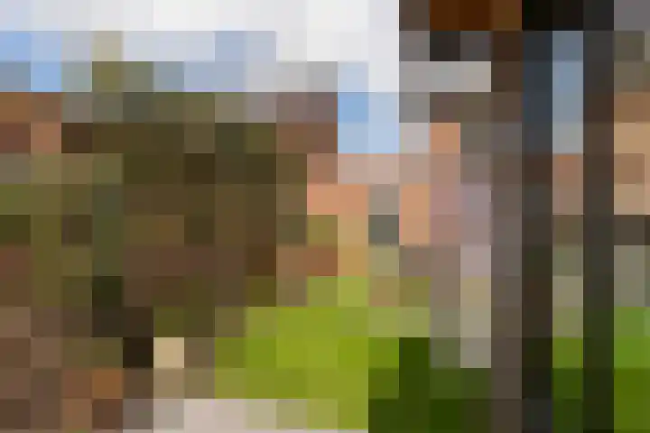 Kievit 94 Maurik thumbnail 42