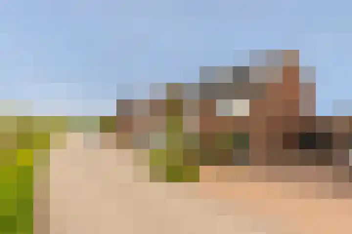 Kievit 94 Maurik thumbnail 5