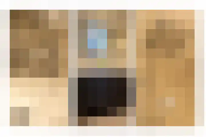Kievit 94 Maurik thumbnail 51