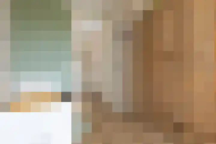 Kievit 94 Maurik thumbnail 56