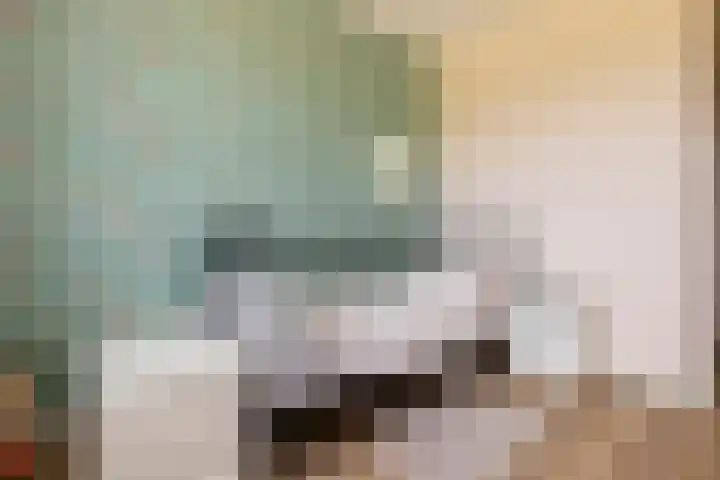 Kievit 94 Maurik thumbnail 58
