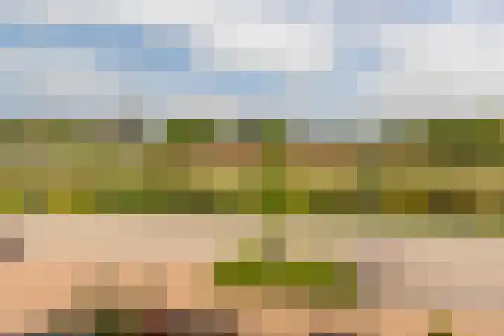 Kievit 94 Maurik thumbnail 60