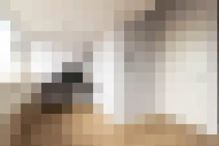 Kievit 94 Maurik thumbnail 65