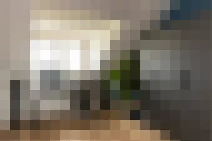 Kievit 94 Maurik thumbnail 67