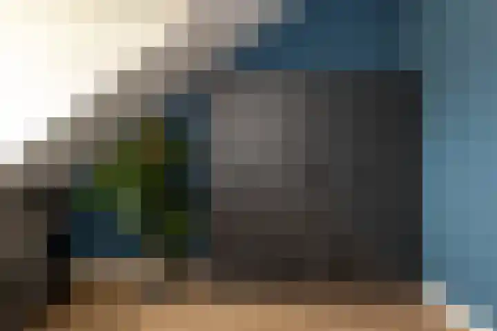 Kievit 94 Maurik thumbnail 68