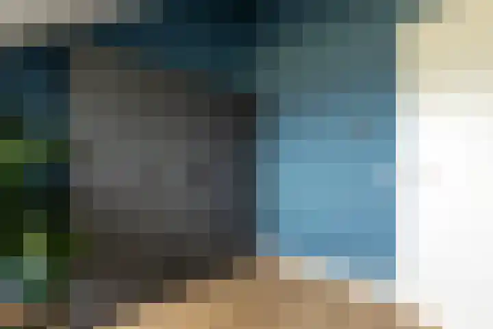Kievit 94 Maurik thumbnail 69