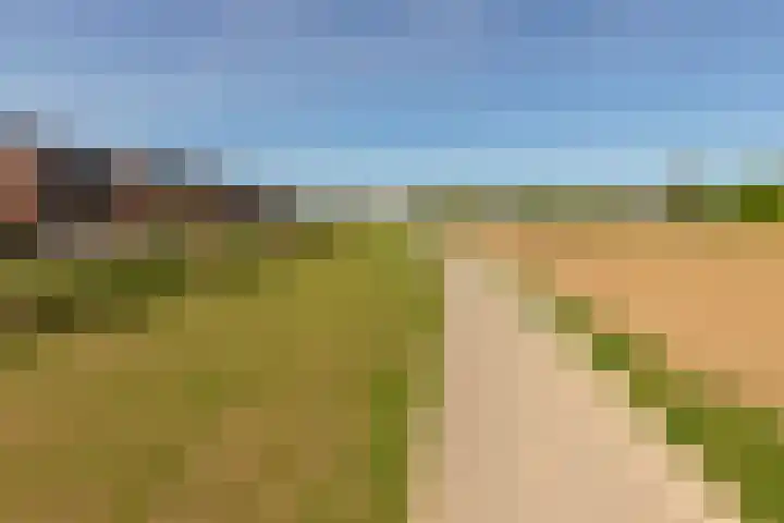 Kievit 94 Maurik thumbnail 7