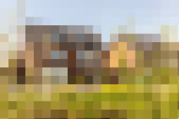 Kievit 94 Maurik thumbnail 70