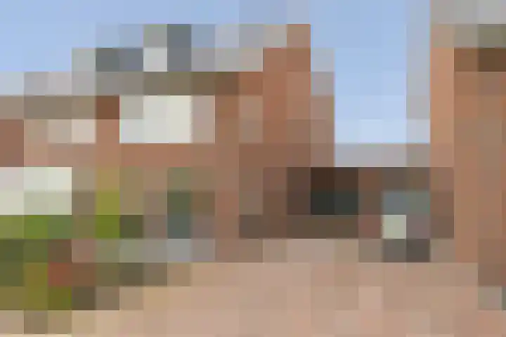 Kievit 94 Maurik thumbnail 71