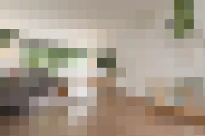 Kievitdreef 65 Waddinxveen thumbnail 10