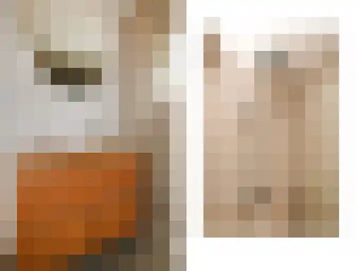 Kievitdreef 65 Waddinxveen thumbnail 31
