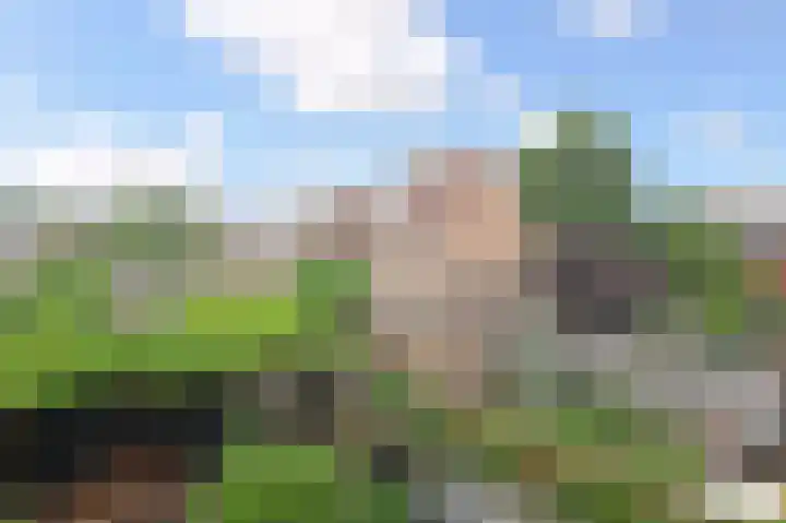 Kievitdreef 65 Waddinxveen thumbnail 35