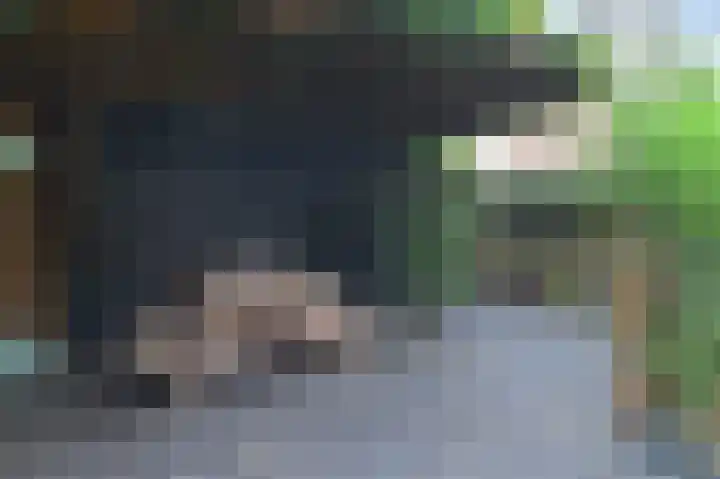 Kievitdreef 65 Waddinxveen thumbnail 40