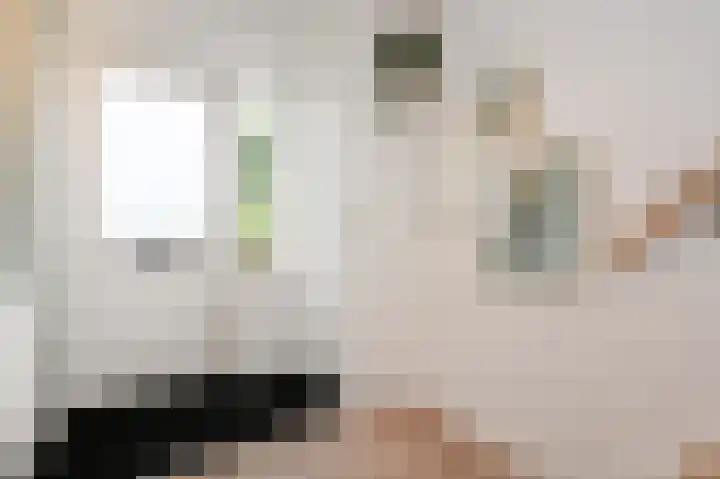 Kievitdreef 65 Waddinxveen thumbnail 6
