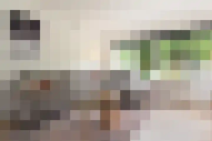 Kievitdreef 65 Waddinxveen thumbnail 8