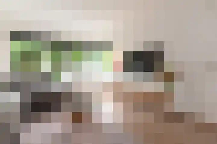 Kievitdreef 65 Waddinxveen thumbnail 9