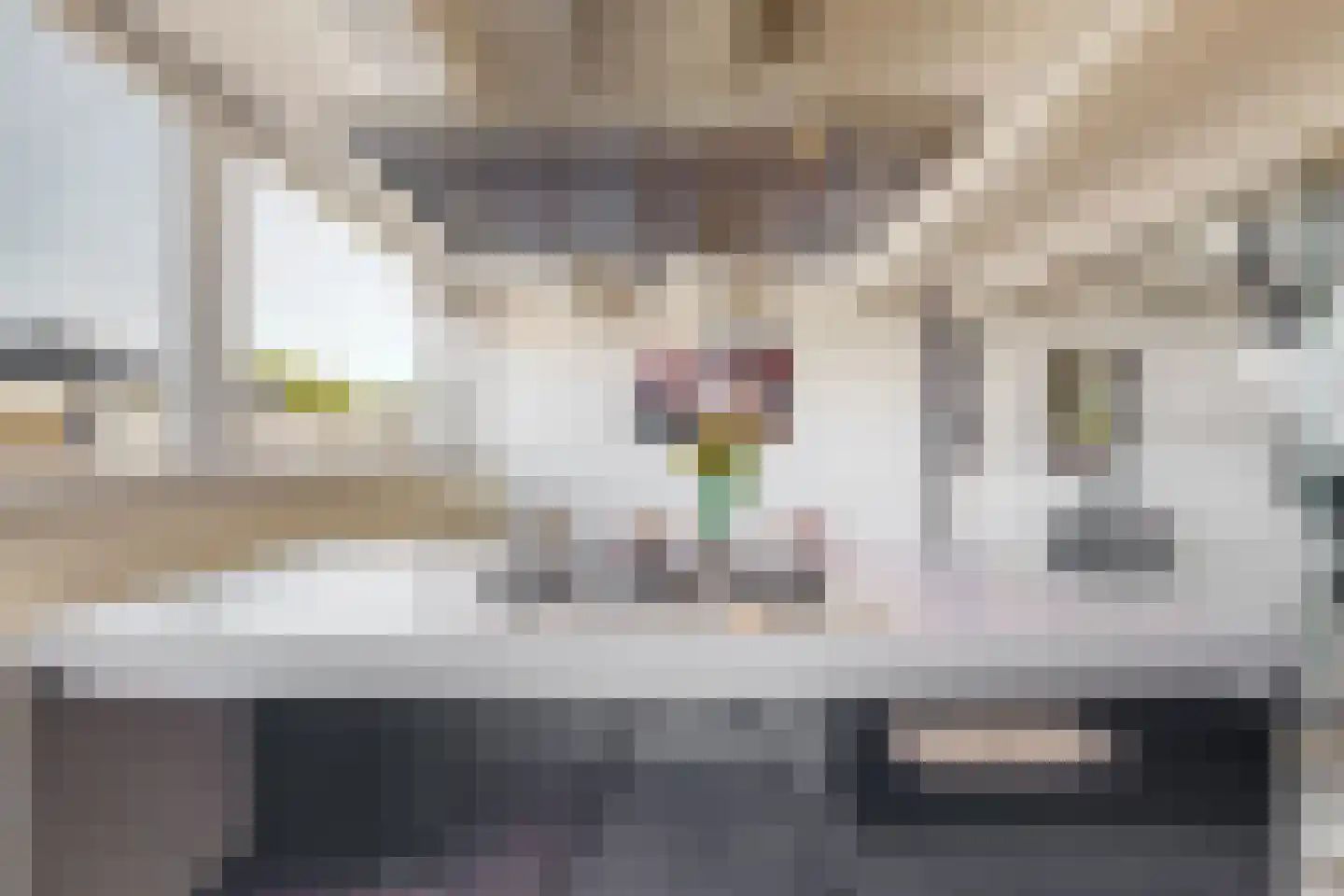 Kievitdwarsstraat 15 A Utrecht thumbnail 11