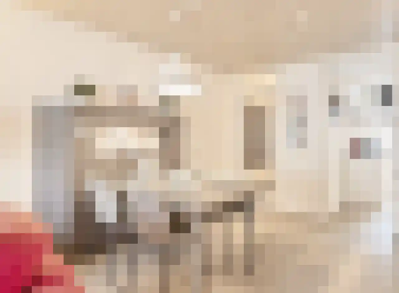 Kievitenlaan 16 Veere thumbnail 10