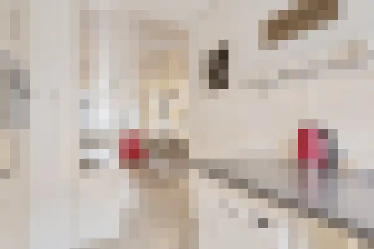 Kievitenlaan 16 Veere thumbnail 11