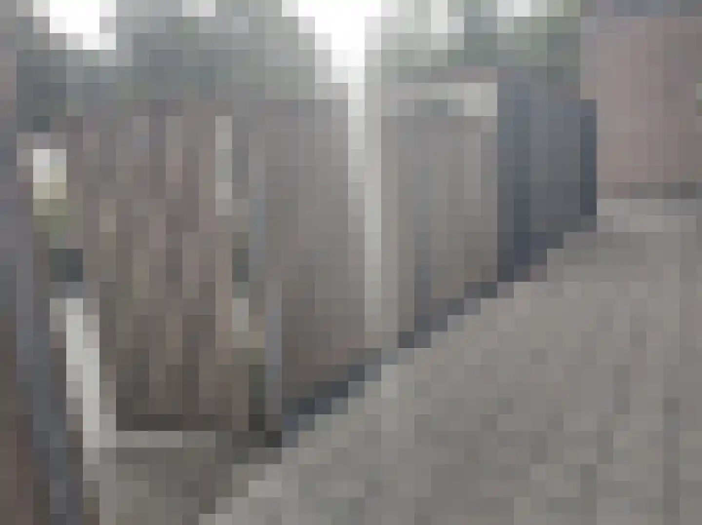 Kievitenlaan 16 Veere thumbnail 22