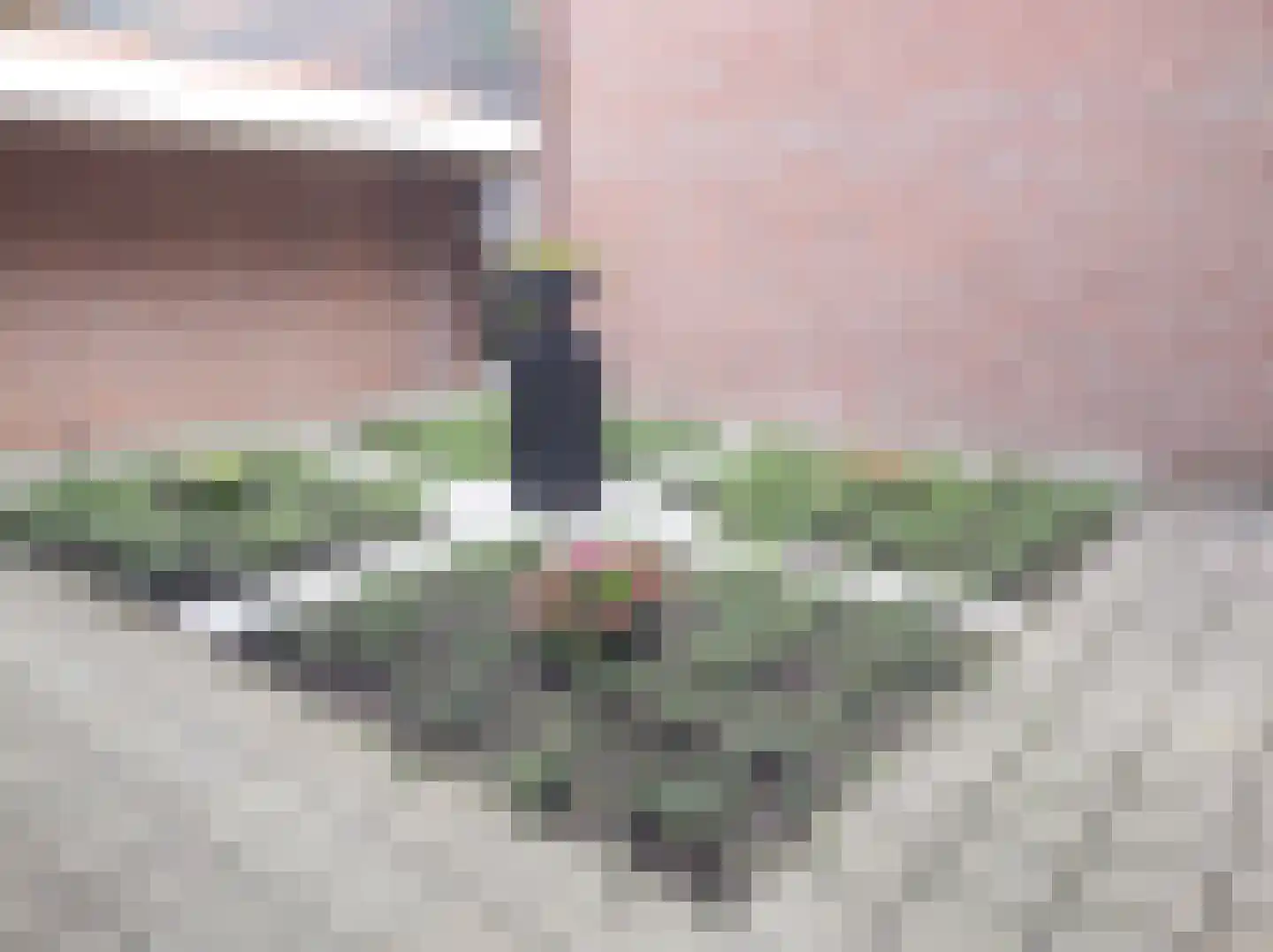 Kievitenlaan 16 Veere thumbnail 24