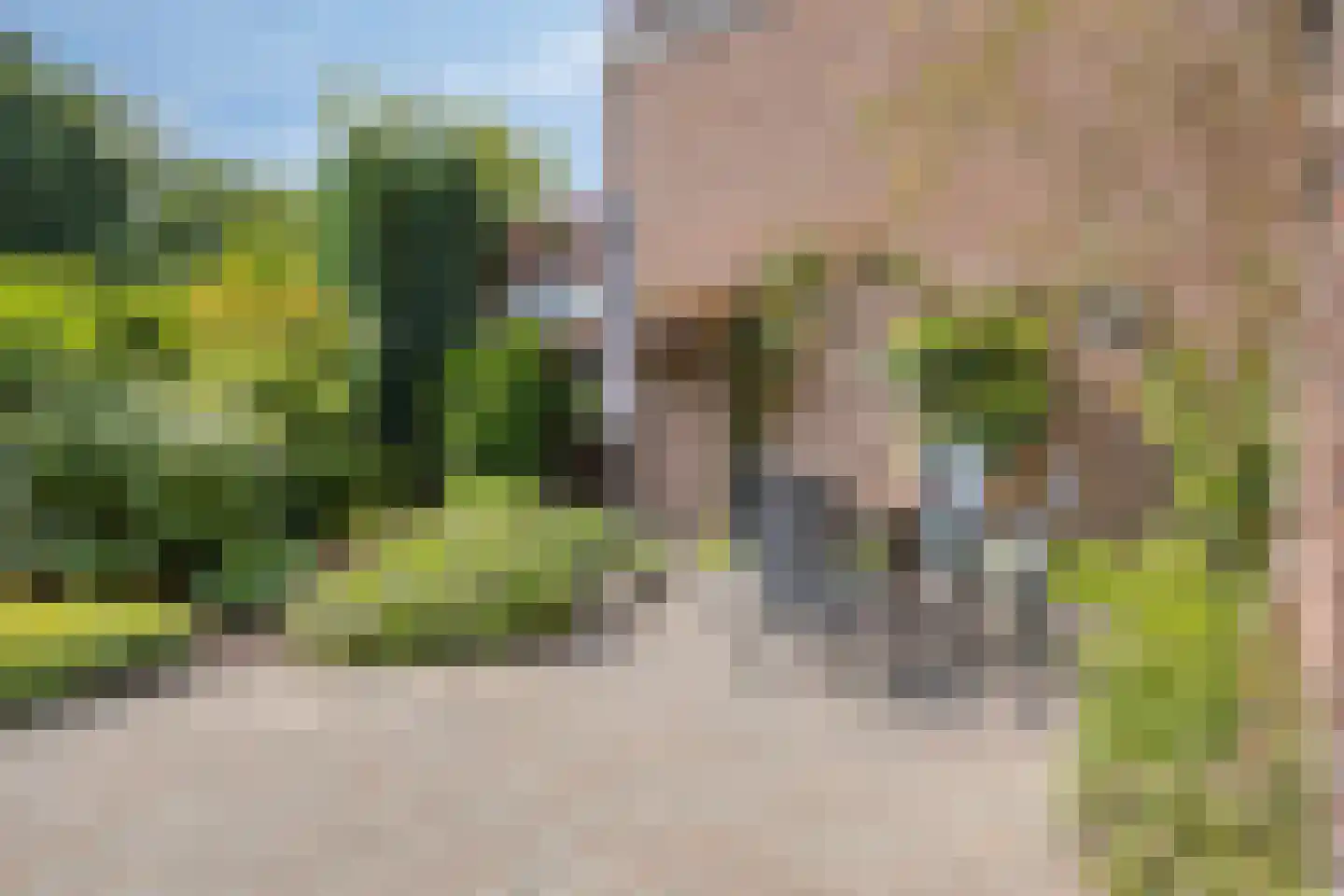 Kievitenlaan 20 Veere thumbnail 20