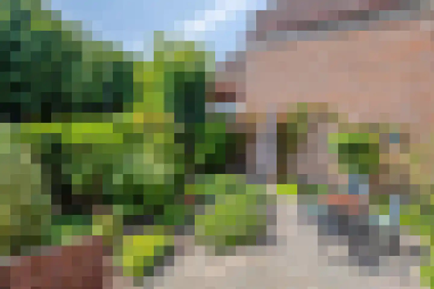 Kievitenlaan 20 Veere foto 3
