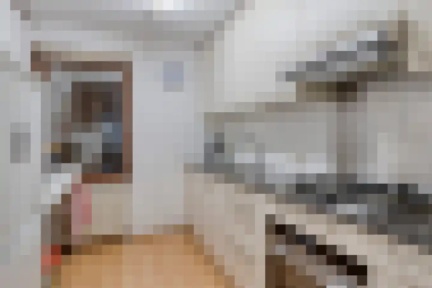 Kievitenlaan 43 Veere foto 2