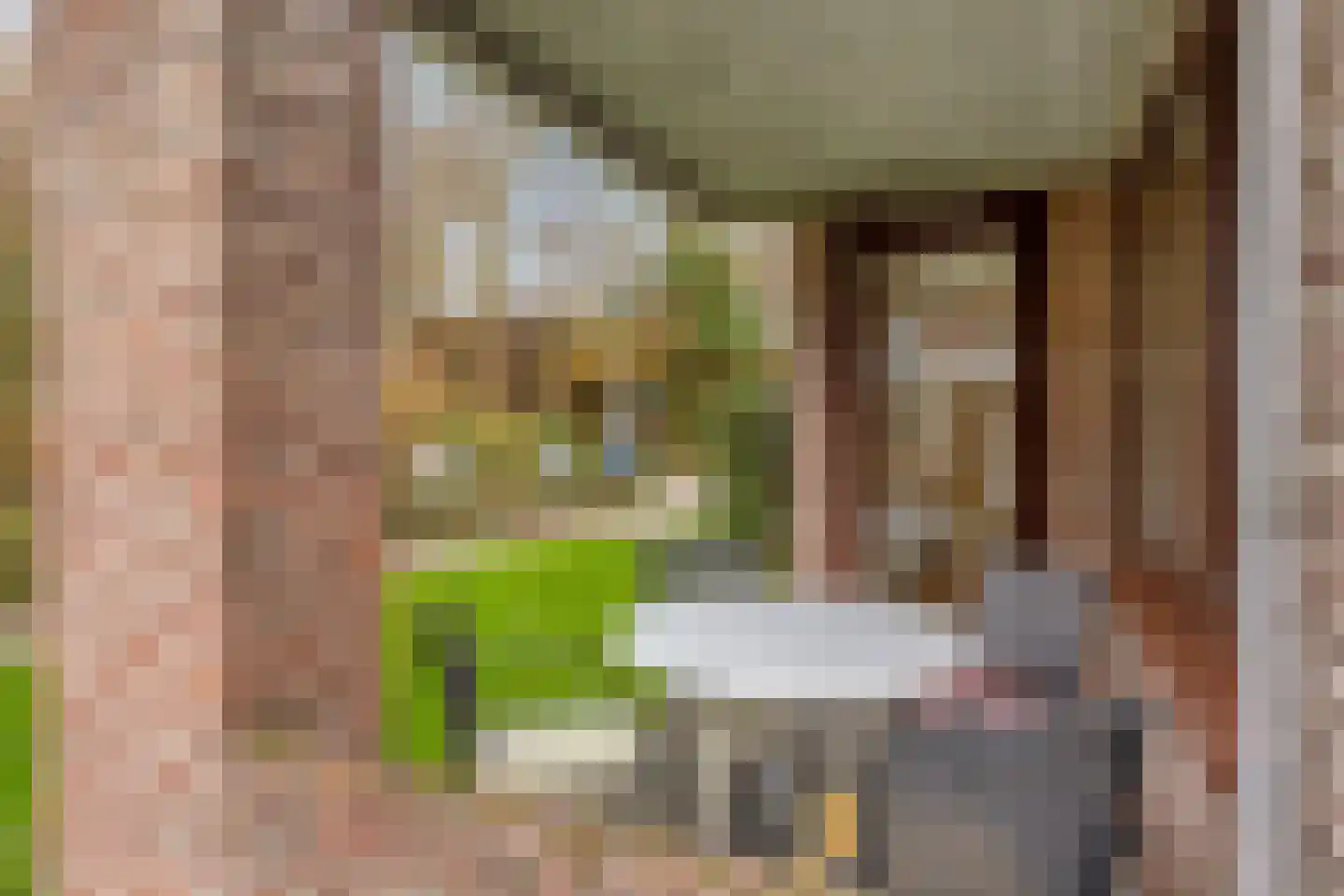 Kievitenlaan 43 Veere thumbnail 4