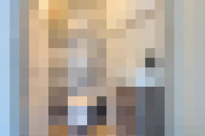 Kievitenveld 1 Cuijk thumbnail 10