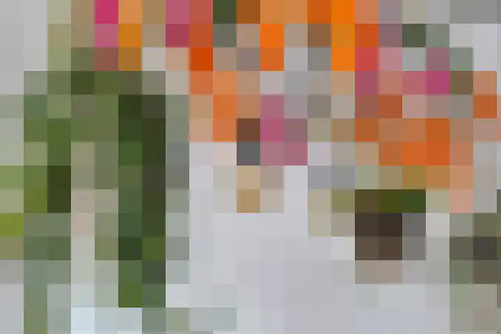 Kievitenveld 1 Cuijk thumbnail 16