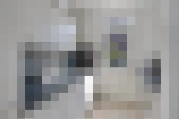 Kievitenveld 1 Cuijk thumbnail 19